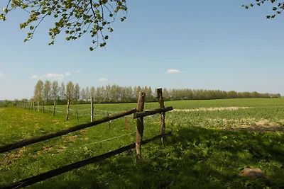 Luisenfeld im Gutshaus Lexow