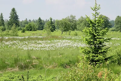Casa vacanza tranquilla vicino alla foresta