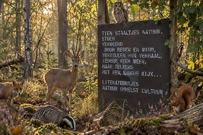 Charmantes Waldhaus auf der Purple Heath