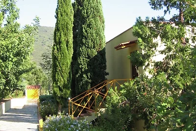 Geräumiges Ferienhaus in Palinuro mit...