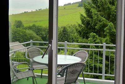 Wohnung in Willingen nahe Ettelsberg-Bahn