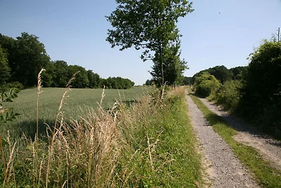 Direkte Umgebung (Sommer) (<1 km) Direkte Umgebung (Sommer) (<1 km)