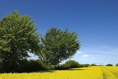Grünberg on the Jepsen holiday farm