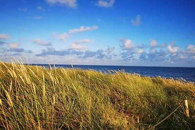 4 Personen Ferienhaus in Blåvand