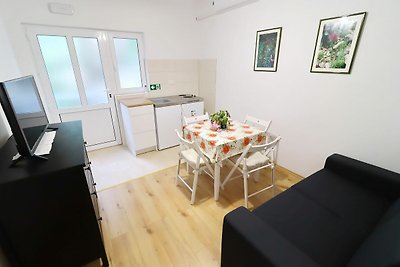 Apartments Nodilo - Standard One Bedroom Apar...