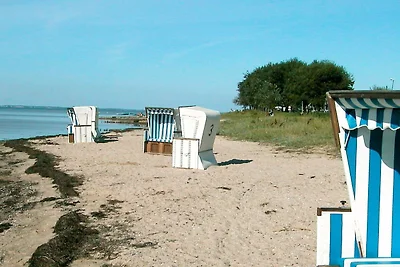 6 Personen Ferienhaus in Gelting