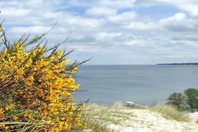 Afgelegen toevluchtsoord in Hvidbjerg