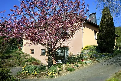 Ferienhaus in Olsdorf
