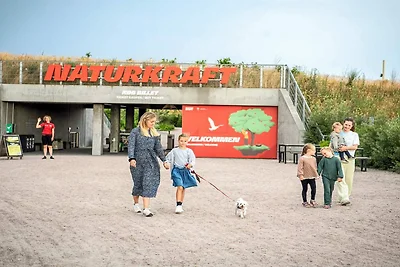 Gemütlicher Rückzugsort in Sondervig