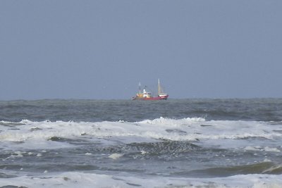 Ferienwohnung am Meer in Hollum