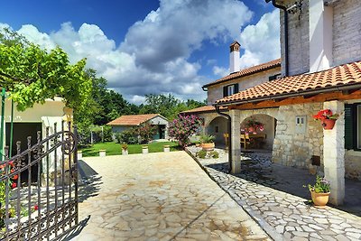 Traditionelles Ferienhaus mit Pool in Rojnici