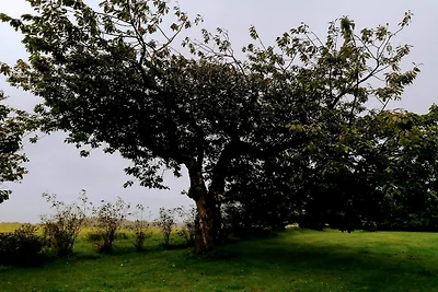 Panoramisches Kustenrefugium -- By Traum...