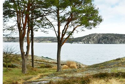 12 persoons vakantie huis in LYSEKIL