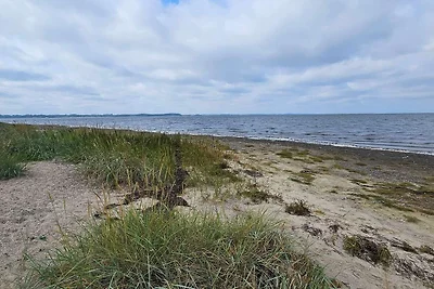 4 Personen Ferienhaus in Farsø-By Traum