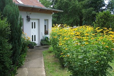 Spaziosa casa vacanze a Sommerfeld vicino al...