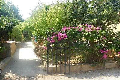 Garten (Sommer) Garten (Sommer)