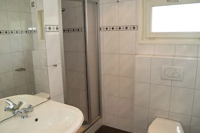 Modernes Chalet mit WLAN im grünen Achterhoek