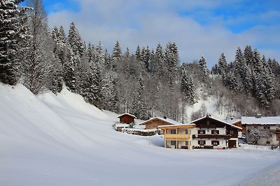 Charmante Ferienwohnung in Kirchberg in Tirol...