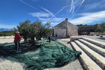 Agrotourismus Rotunda