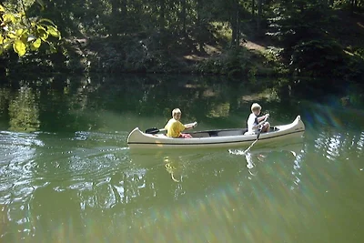 Directe omgeving (zomer) (<1 km) Directe omgeving (zomer) (<1 km)