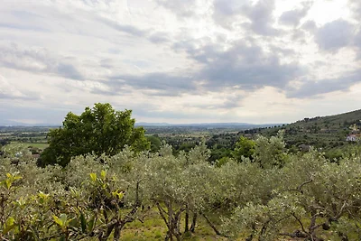 Boerderij in Cortona met Uitzicht op Zwembad