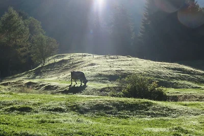 Adlerhorst im Landhaus am Bächle