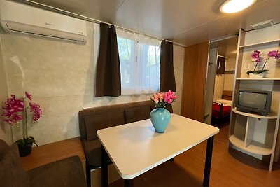 Mobilehome Superior met overdekte veranda bij...