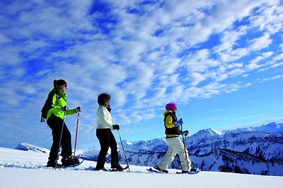 Gemütliches Apartment unweit des Skigebiets i...