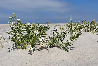 Urlaubsoase in der Natur von Houstrup