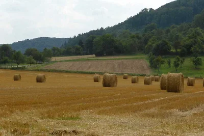 "Weserbergland" Komfortable Ferienresidenz