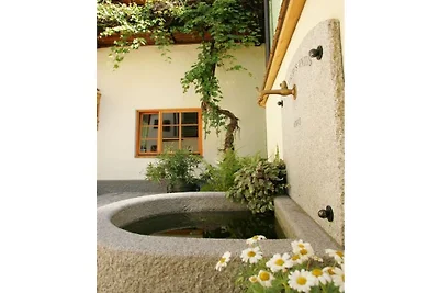 Appartamento a Zell am See con piscina