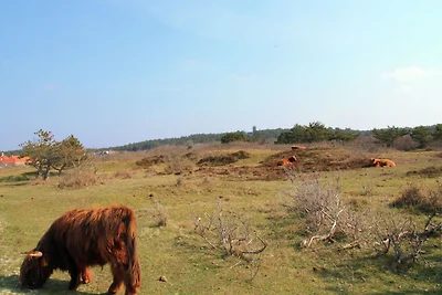 Zufluchtsort in der Natur von Bergen