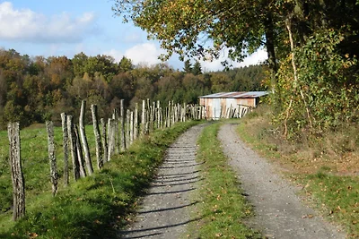 Gemütliches Ferienhaus in Bastogne mit Sauna