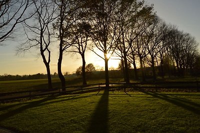 Boerderij in Elsendorp GrensHandel