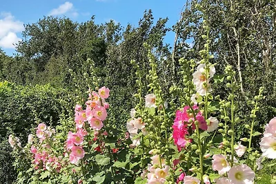 6 Personen Ferienhaus in Aabenraa-By Traum