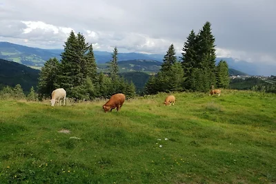 Hütte in Kärnten mit 3 Schlafzimmer