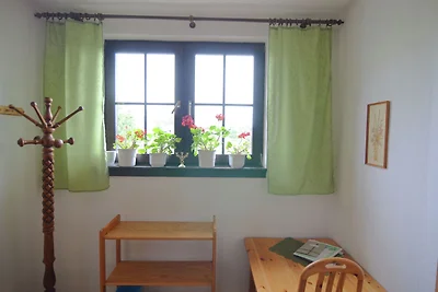 Gezellig appartement in Frauenwald bij bos