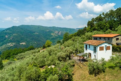 Idyllic Holiday Home in Pescia with Swimming...