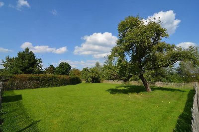 Luxe villa in de Ardennen met binnenzwembad