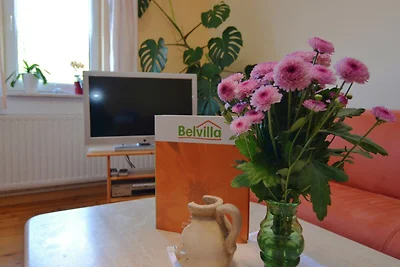 Ruhiges Apartment in Huttenrode nahe Skigebie...
