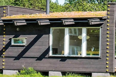 4 Sterne Ferienhaus in STÖLLET