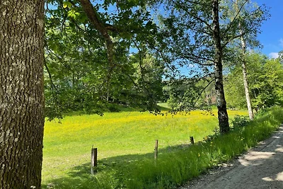 4 Sterne Ferienhaus in LJUNGSKILE