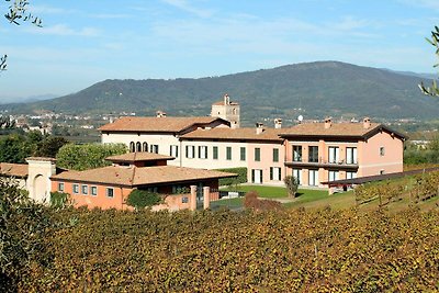 Ansprechende Wohnung in Iseo mit Pool