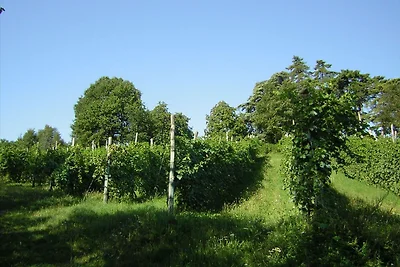 Agriturismo a Regnano per 5 persone