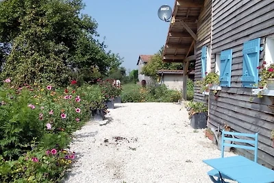 Gemütliches Ferienhaus in Droyes mit Terrasse