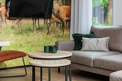 Ferienhaus mit Garten und 2 Zimmern
