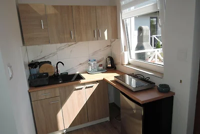 Neues Ferienhaus für 5 Personen in Wisełka