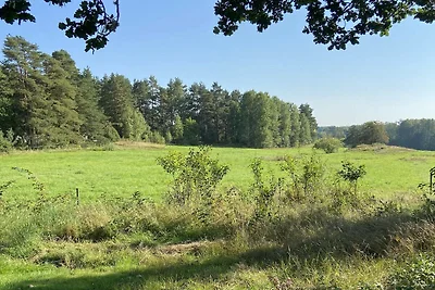 4 Personen Ferienhaus in Ånimskog