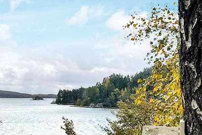 4 Sterne Ferienhaus in ALLINGSÅS