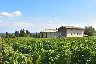 19 de-eeuwse Bourgondische wijnboerderij met ...